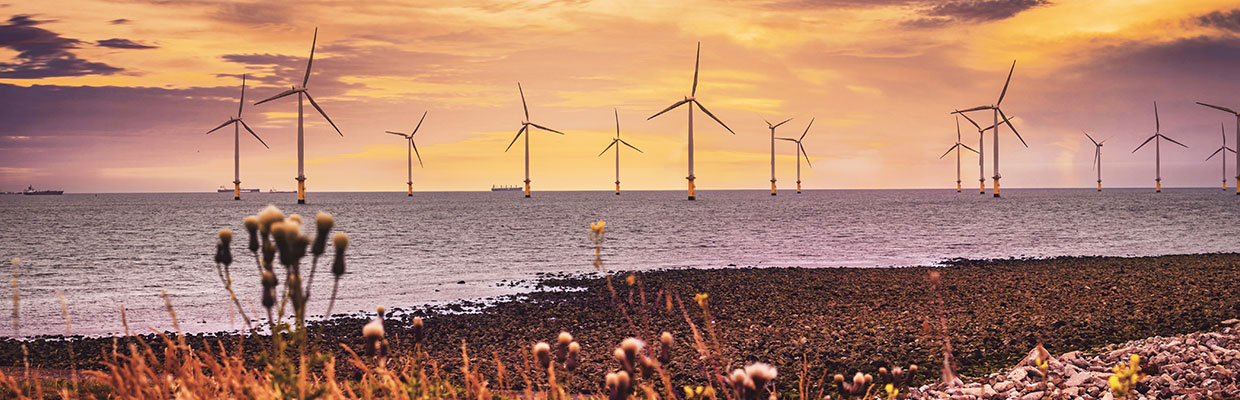 Wind farm sea