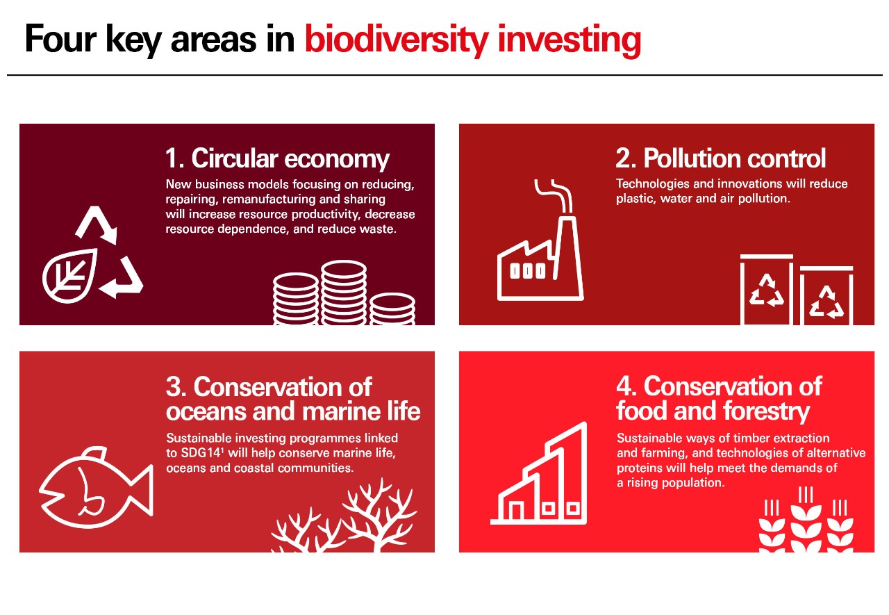 Four key areas of Biodiversity Infographic