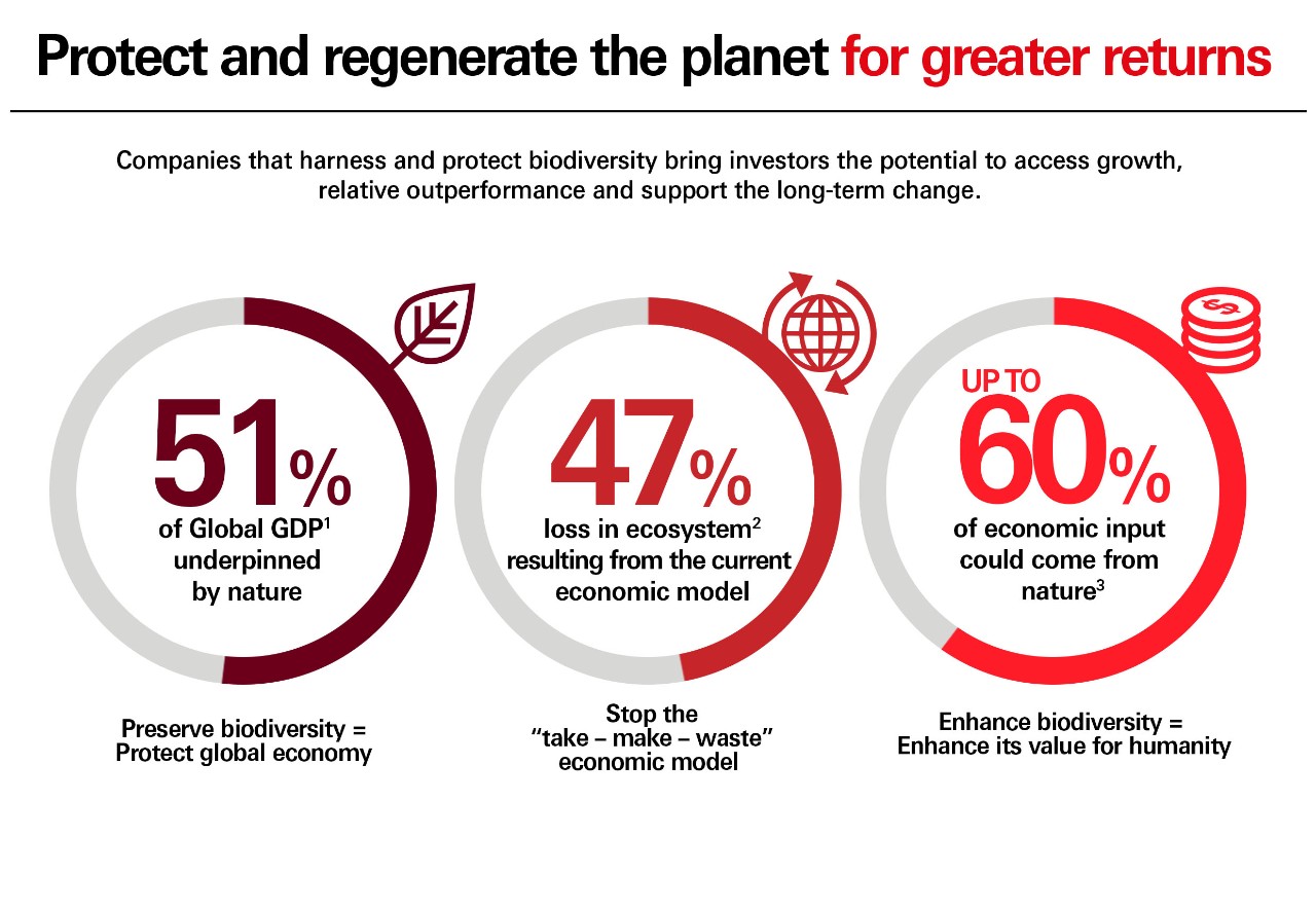 Protect and regenerate the planet for greater returns