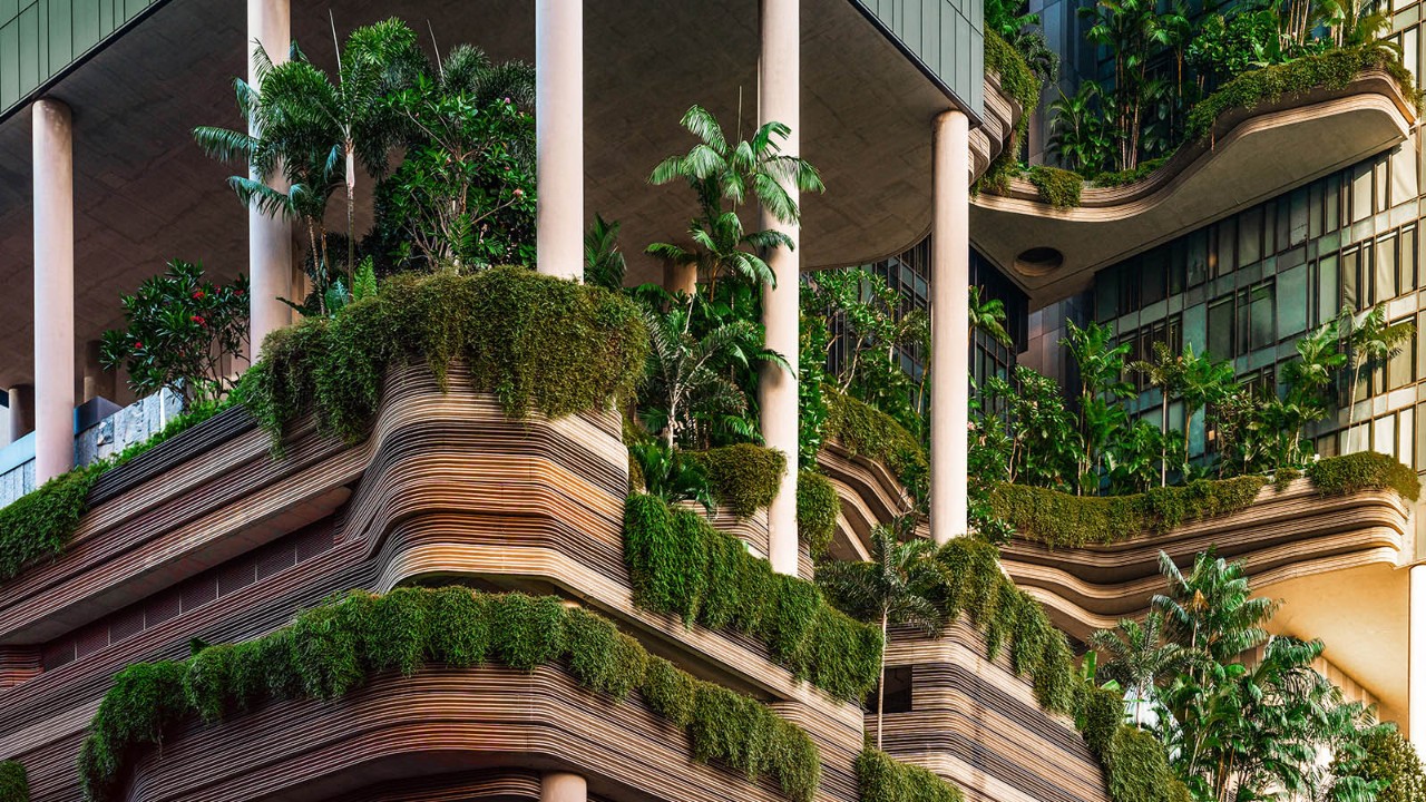 Palm tree buildings