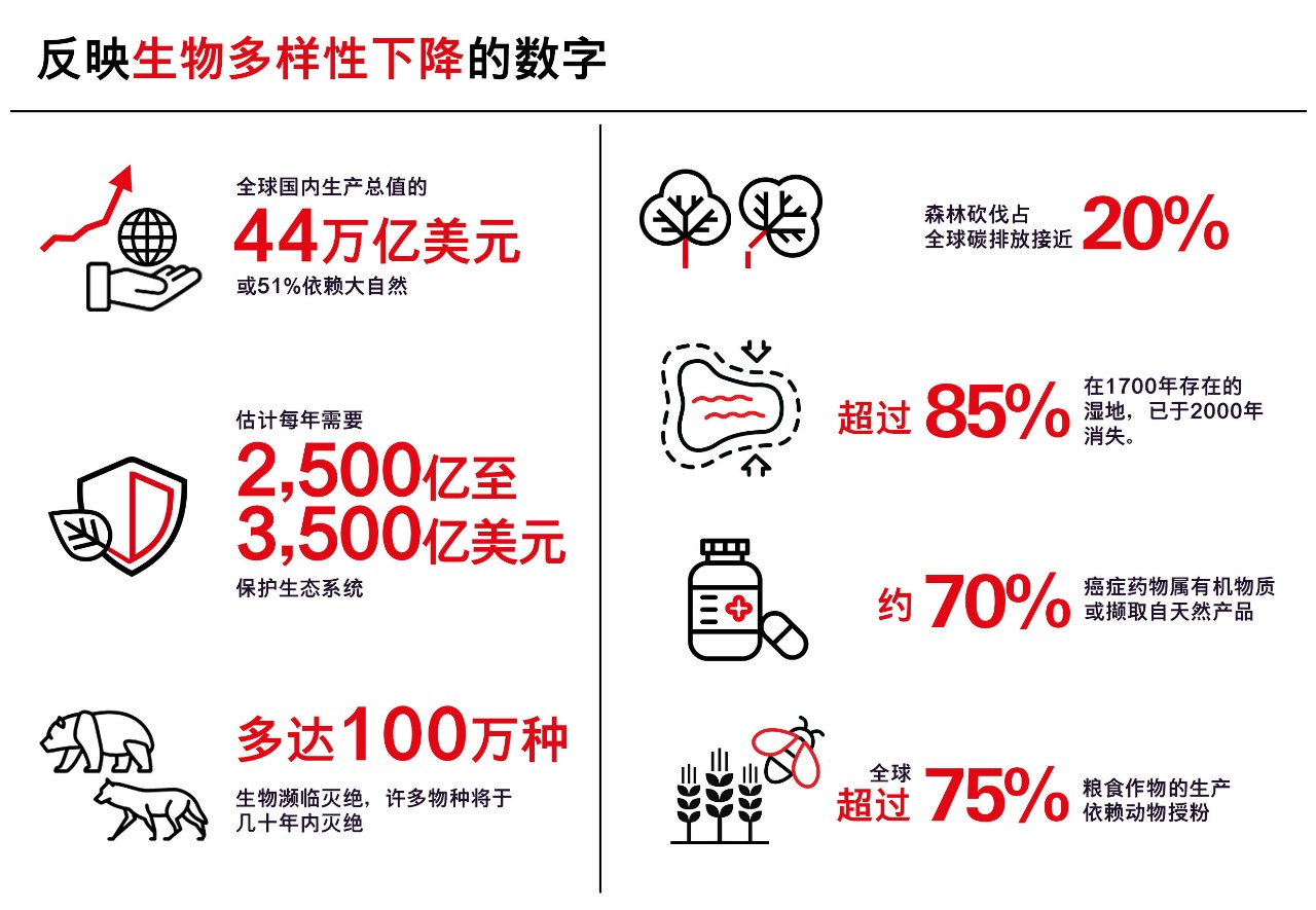 反映生物多样性下降的数字