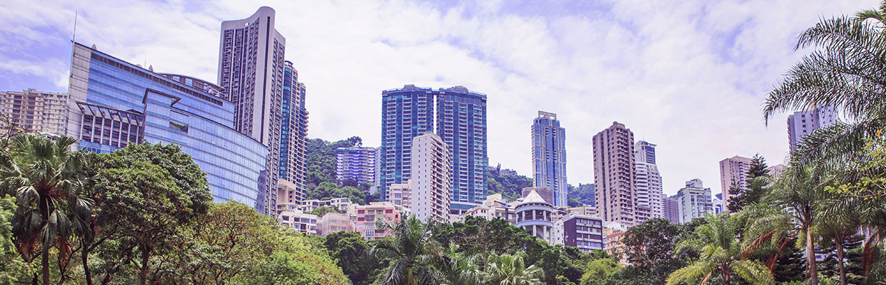 棕櫚樹建築