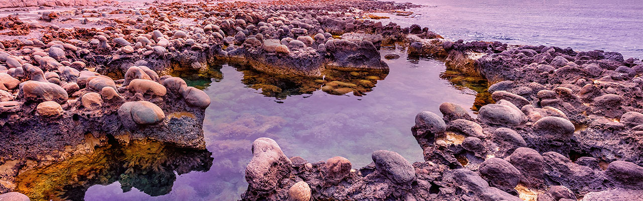 Rocky shore